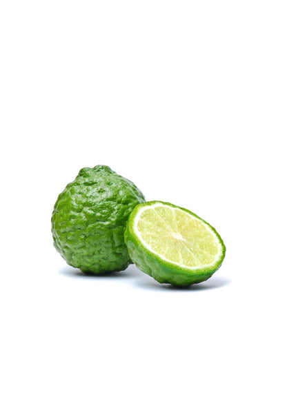 Bergamota