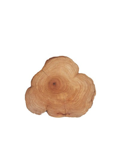 Cedro