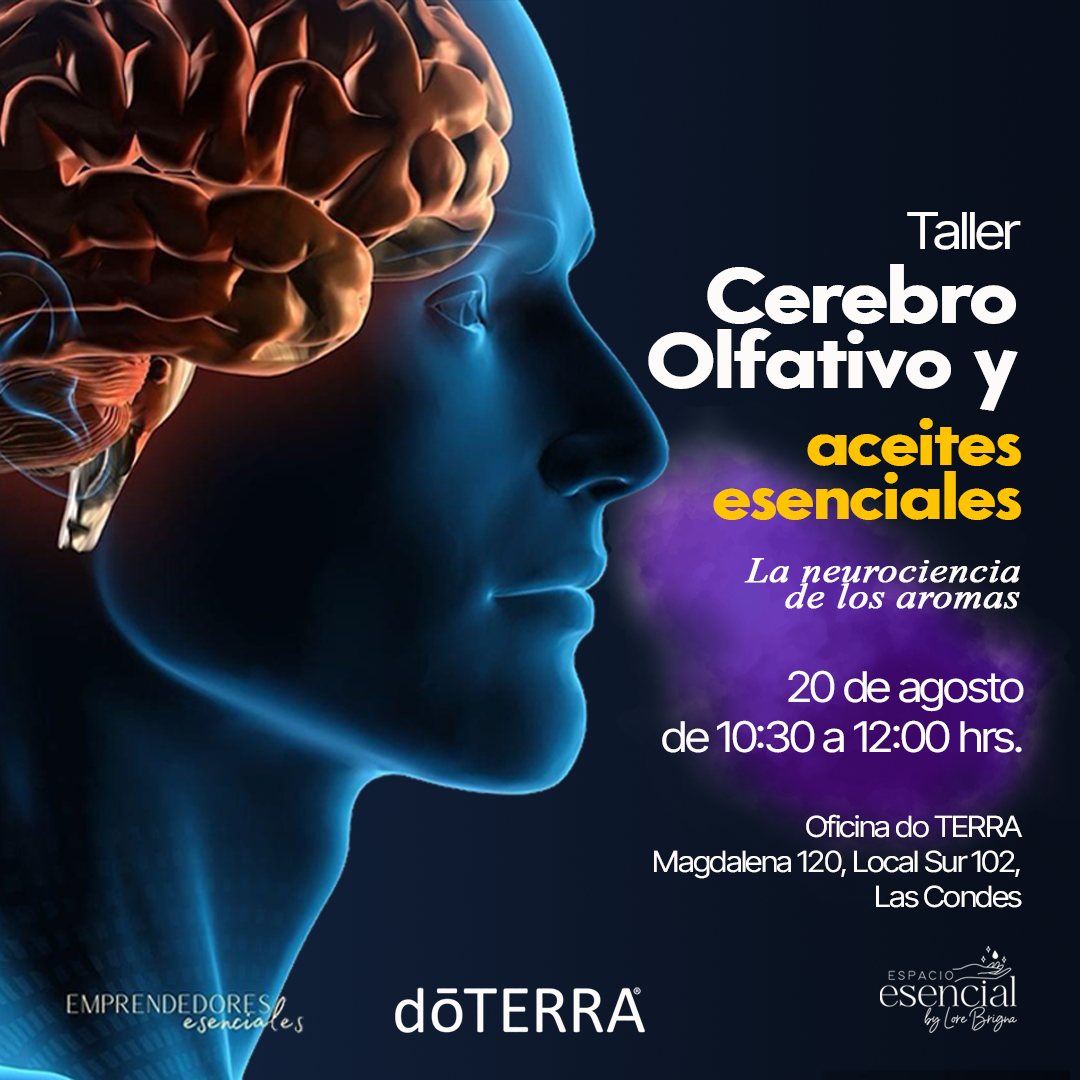 Taller Cerebro Olfativo y Aceites Esenciales, La Neurociencia de los Aromas