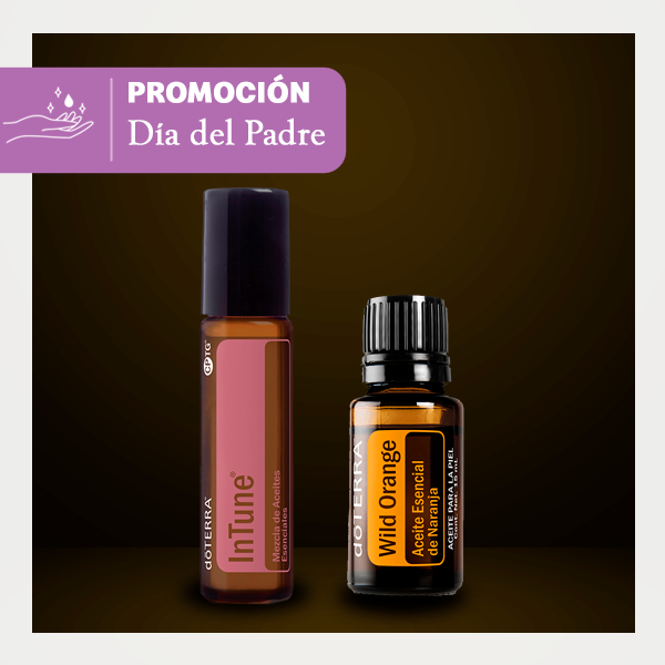 Promoción Día del Padre III